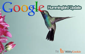 Hummingbird Update 